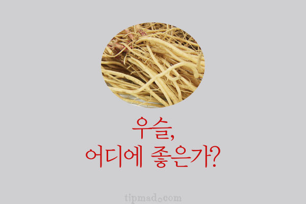 우슬 효능 및 어디에 좋은가, 먹는 법, 부작용, 가격, 파는 곳 총정리 - TIPMAD