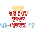 농협폰뱅킹