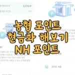 농협포인트